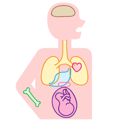 定期検診は必要？？
